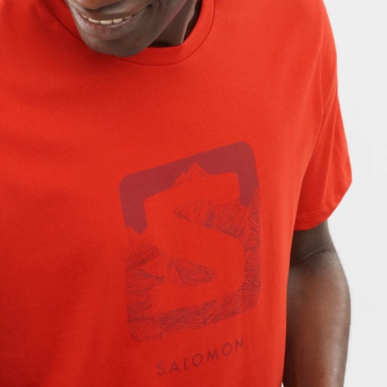 Camiseta Salomon Outlife Logo Curta Sleeve Masculino Laranja | PT W09643